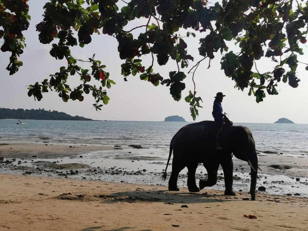 Sanook Sanang Resort Koh Chang Luaran gambar